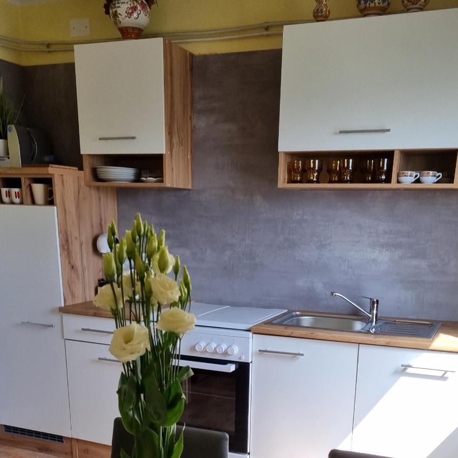 Apartma Tanja -Kamnik Eksteriør billede