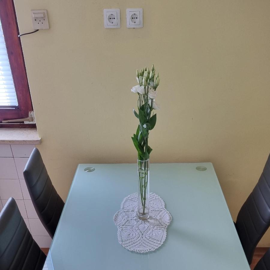 Apartma Tanja -Kamnik Eksteriør billede